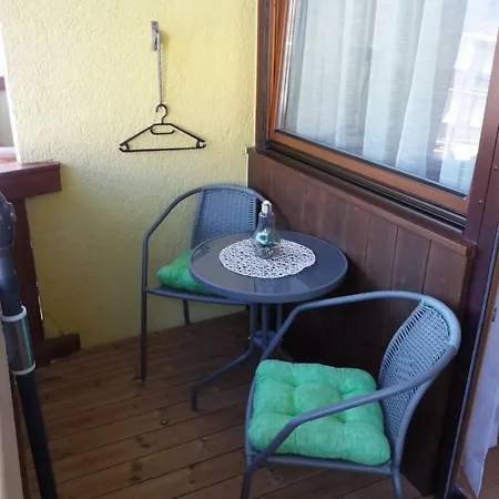 Daire Luna Incl Summercard Zell Am